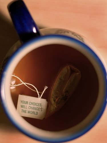 Fuelism #24: Fuelisms : Your choices will change the world.: Fuelisms : Your choices will change the world.