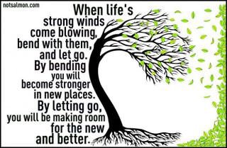 Fuelism #240: Fuelisms : When life\'s strong winds come blowing, bend with them, and let go. By bending you will become stronger in new places. By letting go you will be making room for the new and better.: Fuelisms : When life's strong winds come blowing, bend with them, and let go. By bending you will become stronger in new places. By letting go you will be making room for the new and better.