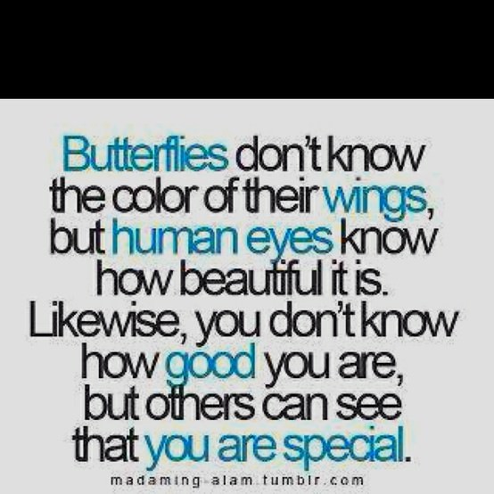 Fuelism #81: Fuelisms : Butterflies don\'t know the color of their wings, but human eyes know how beautiful it is. Likewise, you don\'t know how good you are, but others can see that you are special.: Fuelisms : Butterflies don't know the color of their wings, but human eyes know how beautiful it is. Likewise, you don't know how good you are, but others can see that you are special.