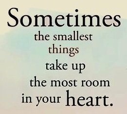 Fuelism #121: Fuelisms : Sometimes the smallest things take up the most room in your heart : Fuelisms : Sometimes the smallest things take up the most room in your heart 