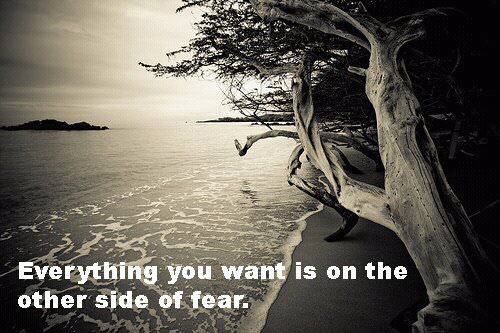 Fuelism #135: Fuelisms : Everything you want is on the other side of fear. : Fuelisms : Everything you want is on the other side of fear. 