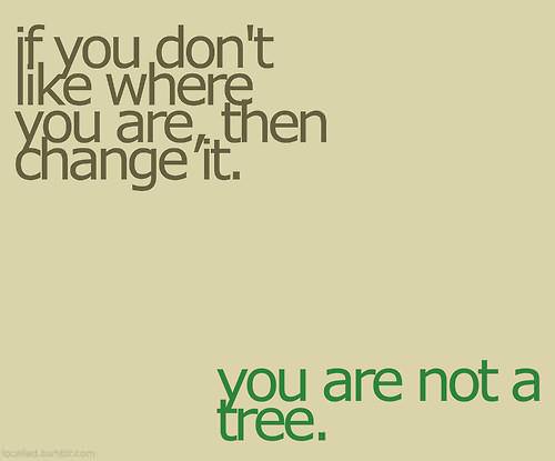 Fuelism #141: Fuelisms : If you don\'t like where you are, then change it. You are not a tree. : Fuelisms : If you don't like where you are, then change it. You are not a tree. 