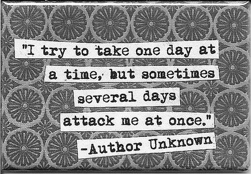 Fuelism #389: Fuelisms : I try to take one day at a time, but sometimes several days attack me at once. : Fuelisms : I try to take one day at a time, but sometimes several days attack me at once. 