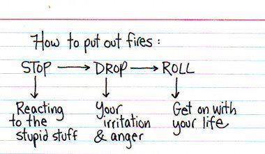 Fuelism #280: Fuelisms : How to put our fires: STOP - reacting to the stupid stuff. DROP - your irritation and anger. ROLL - get on with your life. : Fuelisms : How to put our fires: STOP - reacting to the stupid stuff. DROP - your irritation and anger. ROLL - get on with your life.
