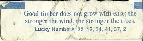 Fuelism #303: Fuelisms : Good timber does not grow with ease; the stronger the wind, the stronger the trees. : Fuelisms : Good timber does not grow with ease; the stronger the wind, the stronger the trees.