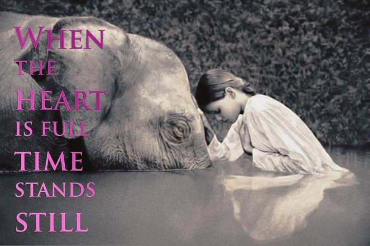 Fuelism #312: Fuelisms : When the heart is full, time stands still. : Fuelisms : When the heart is full, time stands still.