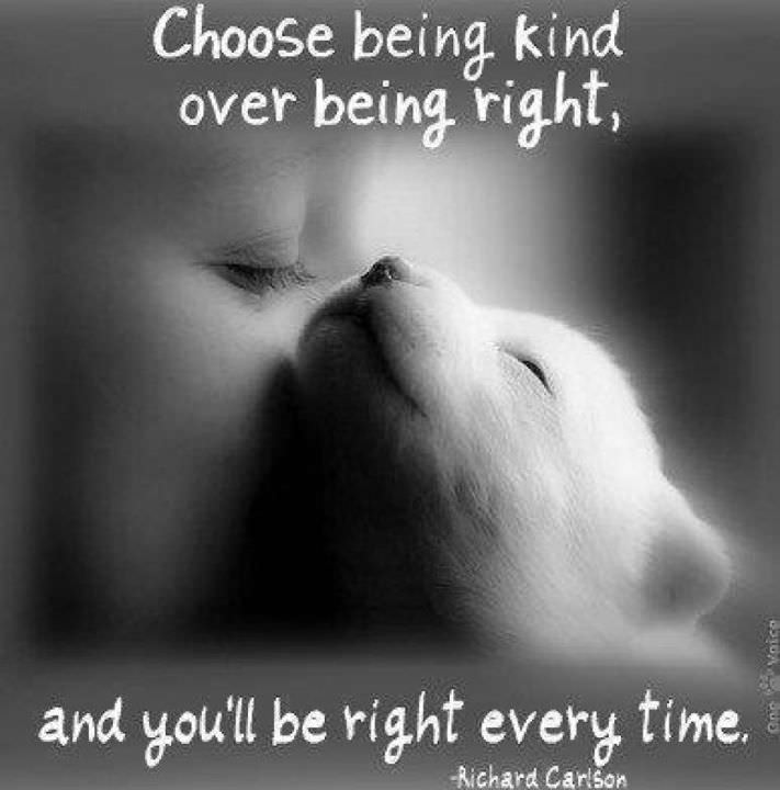 Fuelism #352: Fuelisms : Choose being kind over being right, and you\'ll be right every time. : Fuelisms : Choose being kind over being right, and you'll be right every time. 