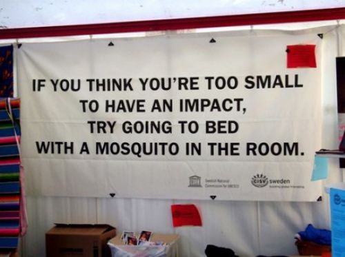 Fuelism #435: Fuelisms : If you think you\'re too small to have an impact, try going to bed with a mosquito in the room. : Fuelisms : If you think you're too small to have an impact, try going to bed with a mosquito in the room. 