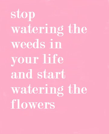 Fuelism #623: Fuelisms : Stop watering the weeds in your life and start watering the flowers.: Fuelisms : Stop watering the weeds in your life and start watering the flowers.