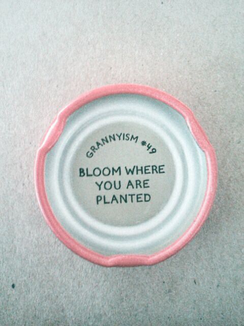 Fuelism #645: Fuelisms : Bloom where you are planted.: Fuelisms : Bloom where you are planted.