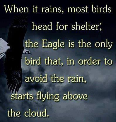 Fuelism #597: Fuelisms : When it rains, most birds head for shelter; the eagle is the only bird that, in order to avoid the rain, starts flying above the clouds.: Fuelisms : When it rains, most birds head for shelter; the eagle is the only bird that, in order to avoid the rain, starts flying above the clouds.