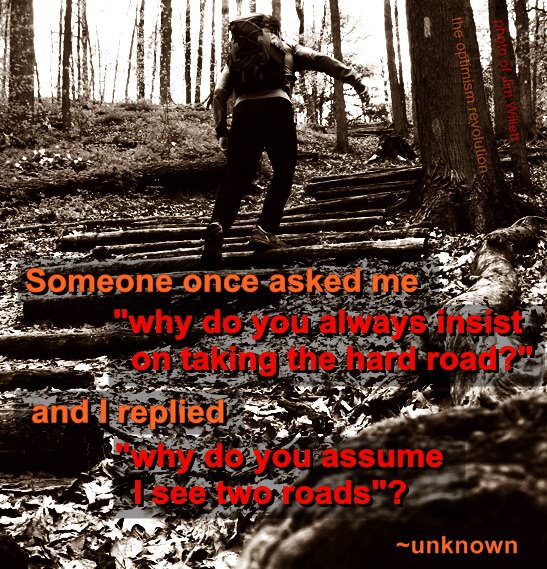 Fuelism #696: Fuelisms : Someone once asked me \'why do you always insist on taking the hard road?\' and I replied, \'why do you assume I see two roads?\': Fuelisms : Someone once asked me 'why do you always insist on taking the hard road?' and I replied, 'why do you assume I see two roads?'