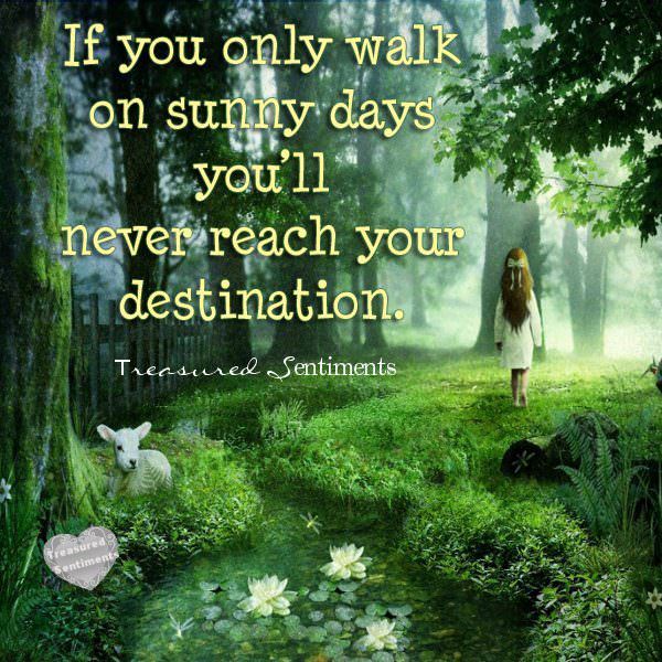 Fuelism #703: Fuelisms : If you only walk on sunny days, you\'ll never reach your destination.: Fuelisms : If you only walk on sunny days, you'll never reach your destination.
