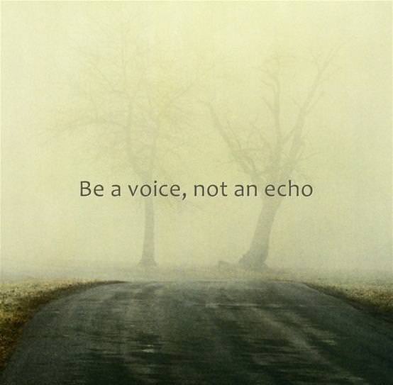 Fuelism #774: Fuelisms : Be a voice, not an echo.: Fuelisms : Be a voice, not an echo.
