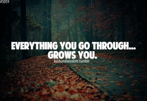 Fuelism #819: Fuelisms : Everything you go through grows you.: Fuelisms : Everything you go through grows you.