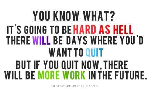 Fuelism #875: You know what? It\'s going to be hard as hell. There will be days where you\'d want to quit, but if you quit now, there will be more work in the future.: You know what? It's going to be hard as hell. There will be days where you'd want to quit, but if you quit now, there will be more work in the future.
