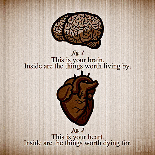 Fuelism #899: This is your brain. Inside are the things worth living by. This is your heart. Inside are the things worth dying for.: This is your brain. Inside are the things worth living by. This is your heart. Inside are the things worth dying for.