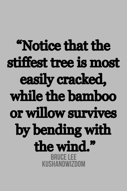 Fuelism #961: Notice that the stiffest tree is most easily cracked, while that bamboo or willow survives by bending with the wind. - Bruce LeeBruce Lee: Notice that the stiffest tree is most easily cracked, while that bamboo or willow survives by bending with the wind. - Bruce Lee