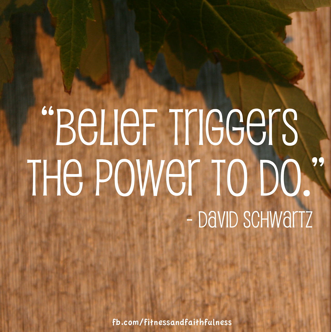 Fuelism #982: Belief triggers the power to do.David J. Schwartz: Belief triggers the power to do.