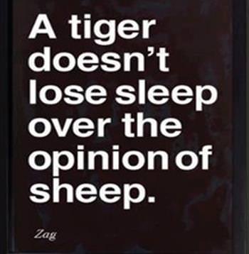 Fuelism #1098: A tiger doesn\'t lose sleep over the opinion of sheep.: A tiger doesn't lose sleep over the opinion of sheep.