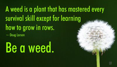 Fuelism #1150: A weed is a plant that has mastered every survival skill except for learning how to grow in rows. Be a Weed.Doug Larson: A weed is a plant that has mastered every survival skill except for learning how to grow in rows. Be a Weed.