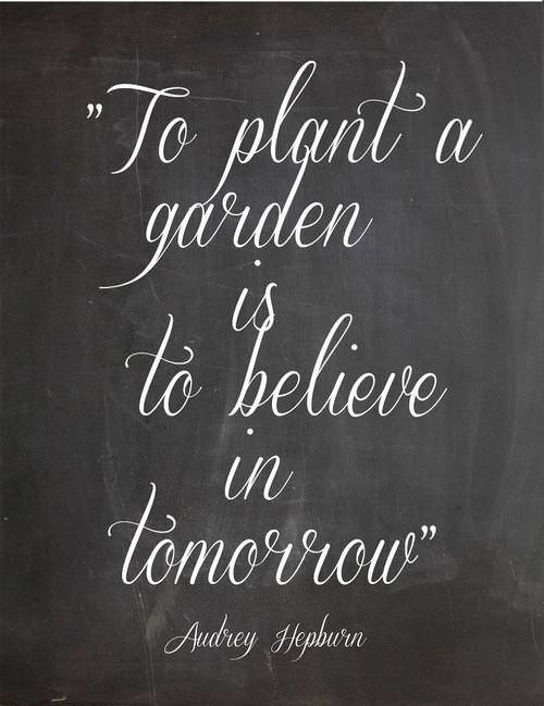 Fuelism #1249: To plant a garden is to believe in tomorrow.Audrey Hepburn: To plant a garden is to believe in tomorrow.
