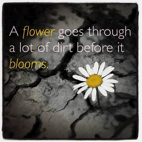 Fuelism #1267: A flower goes through a lot of dirt before it blooms.: A flower goes through a lot of dirt before it blooms.