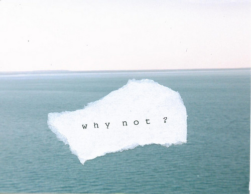Fuelism #1343: Why not?: Why not?