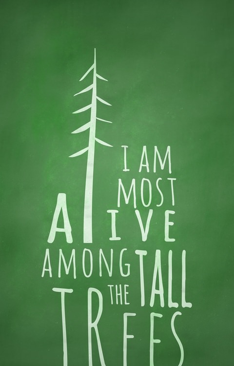 Fuelism #1377: I am most alive among the tall trees.: I am most alive among the tall trees.