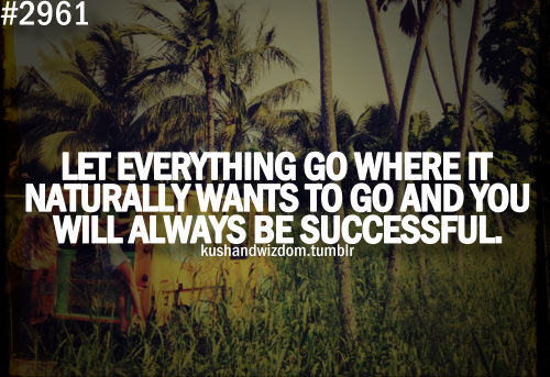 Fuelism #1570: Let everything go where it naturally wants to go and you will always be successful.: Let everything go where it naturally wants to go and you will always be successful.