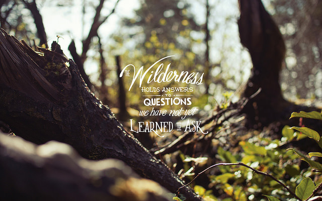 Fuelism #1606: Wilderness holds answers to questions we have not yet learned to ask.: Wilderness holds answers to questions we have not yet learned to ask.