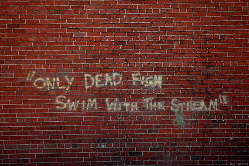Fuelism #1657: Only dead fish swim with the stream.: Only dead fish swim with the stream.