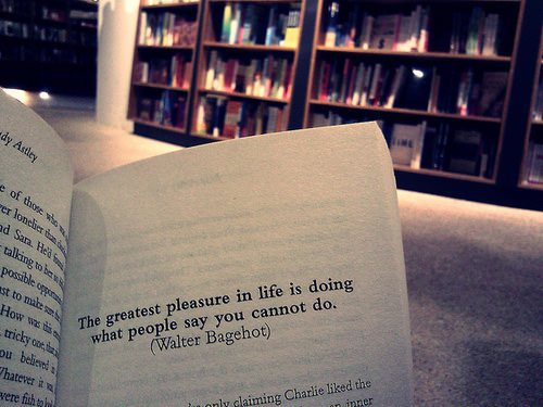 Fuelism #1739: The greatest pleasure in life is doing what people say you cannot do.Walter Bagehot: The greatest pleasure in life is doing what people say you cannot do.