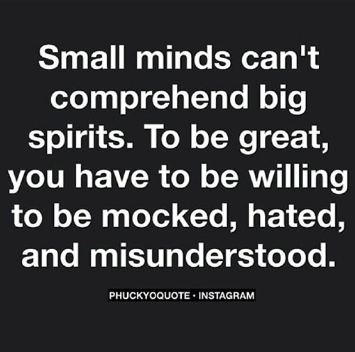 Being Unique #50: Small minds can't comprehend big spirits. To be great ...